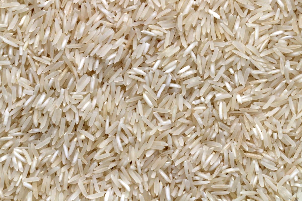 How to Track Export Orders Automatically: A Lifeline for Rice Exporters